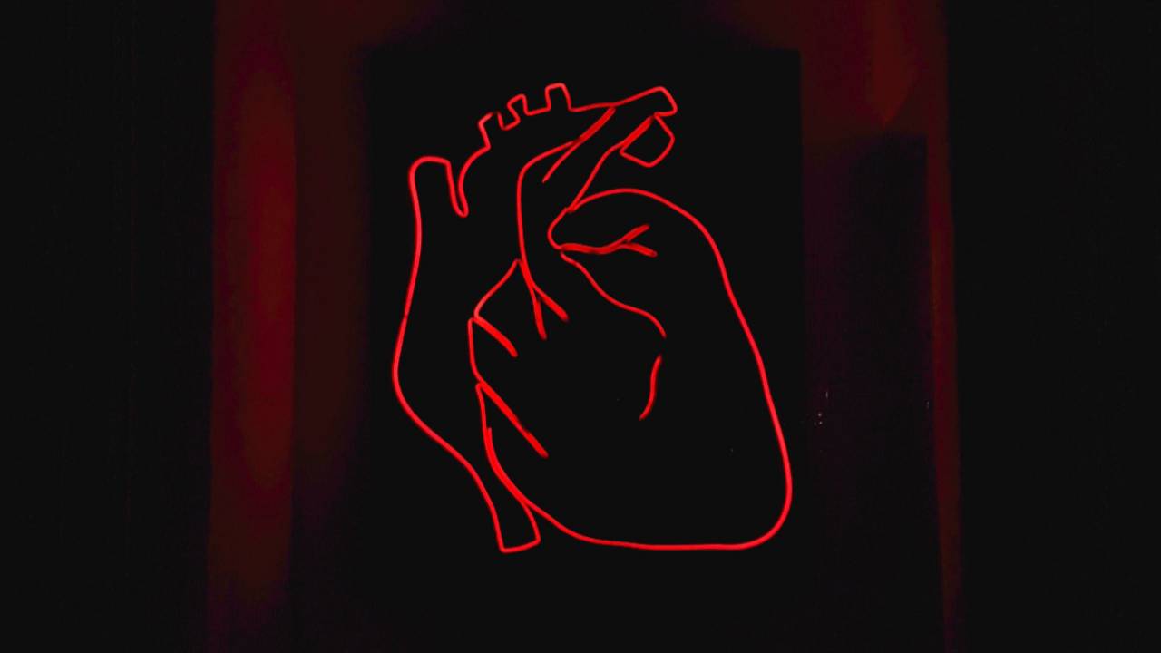 Study finds these seven metrics predict future heart disease risk