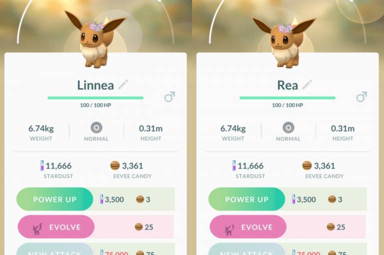 Pokemon GO debuts new Lures, new Pokemon, and Eevee evolutions SlashGear
