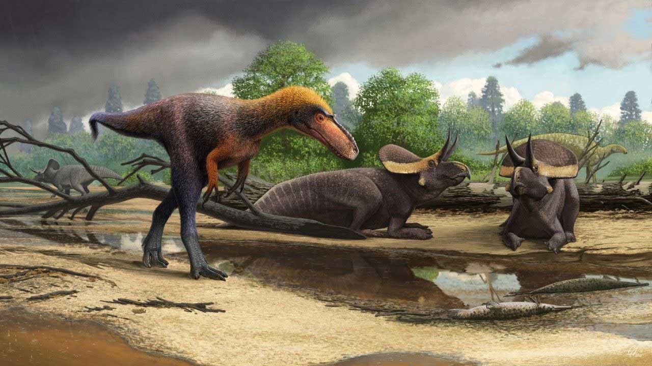 Paleontologist discover new T-rex relative and dub it Suskityrannus