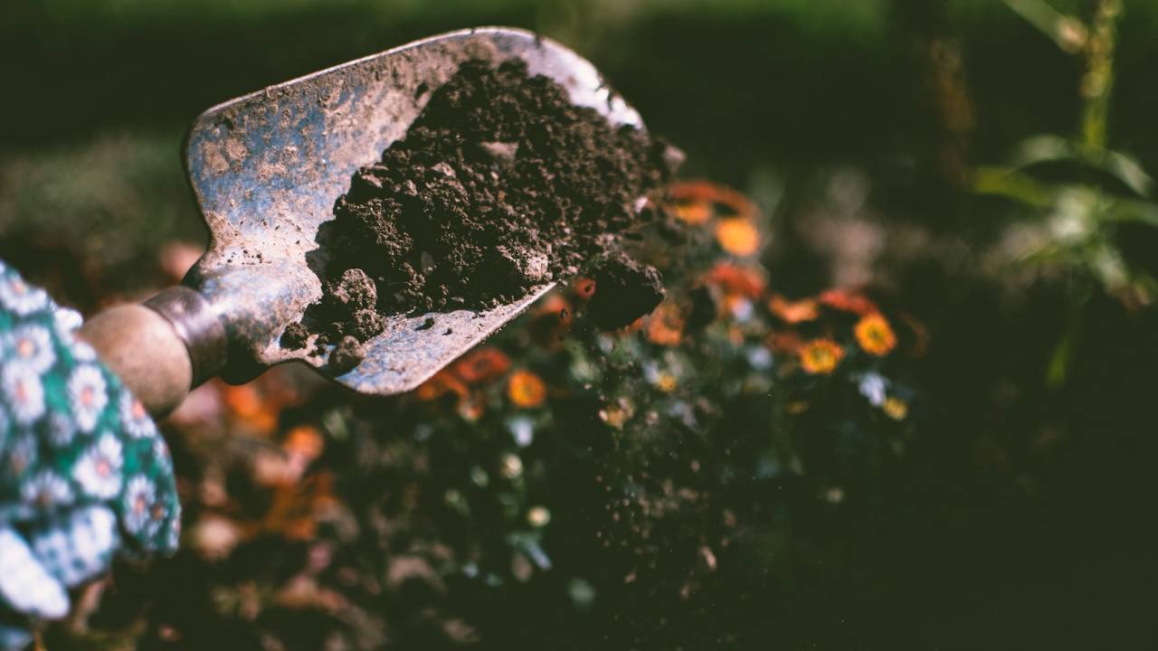 Glowing dirt could help scientists develop new biofuels and super crops