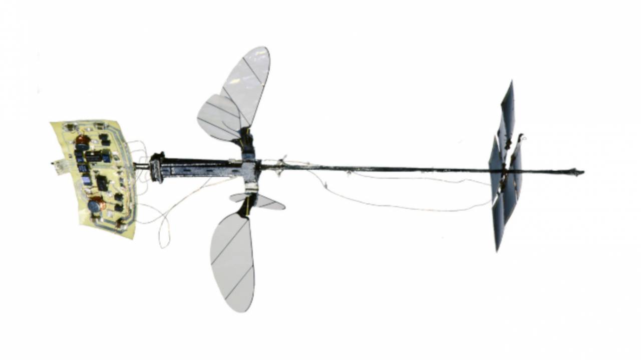Harvard’s insect-like RoboBee achieves major solo flight milestone