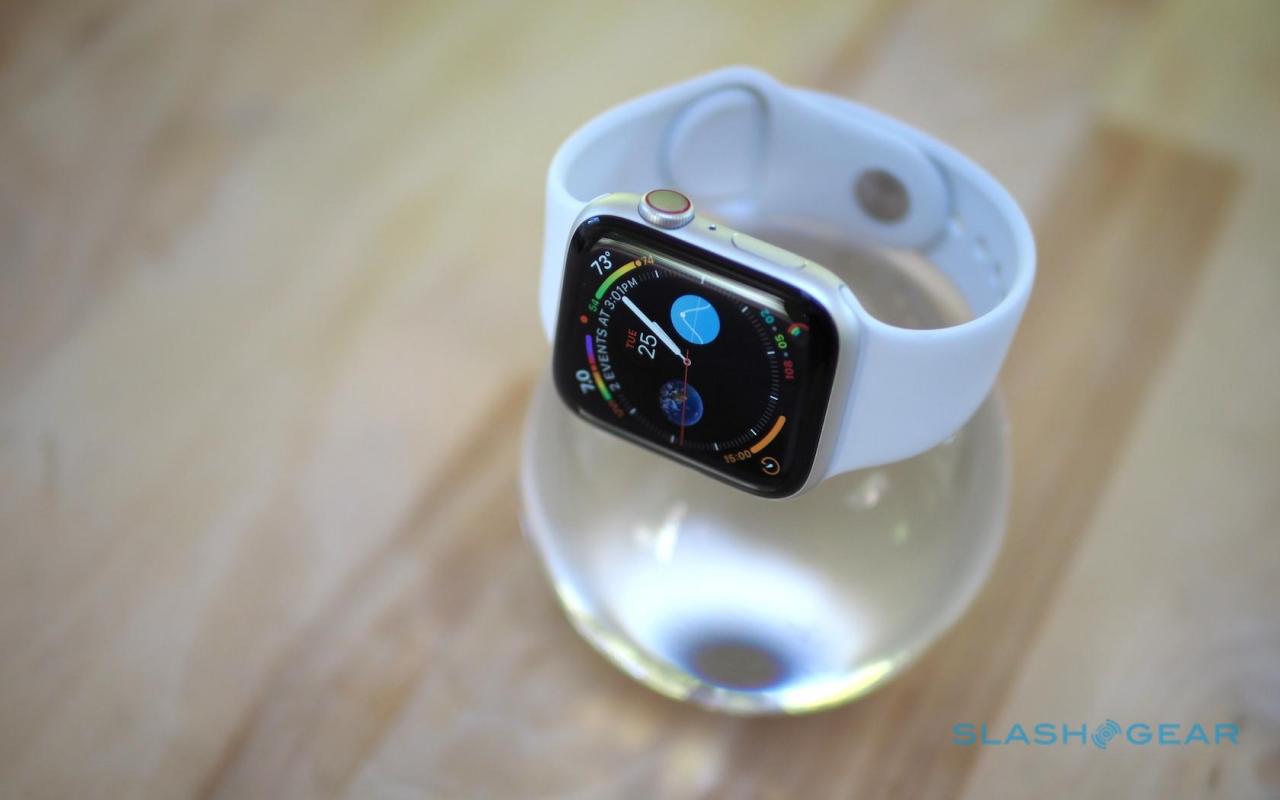 apple watch series 2 walkie talkie