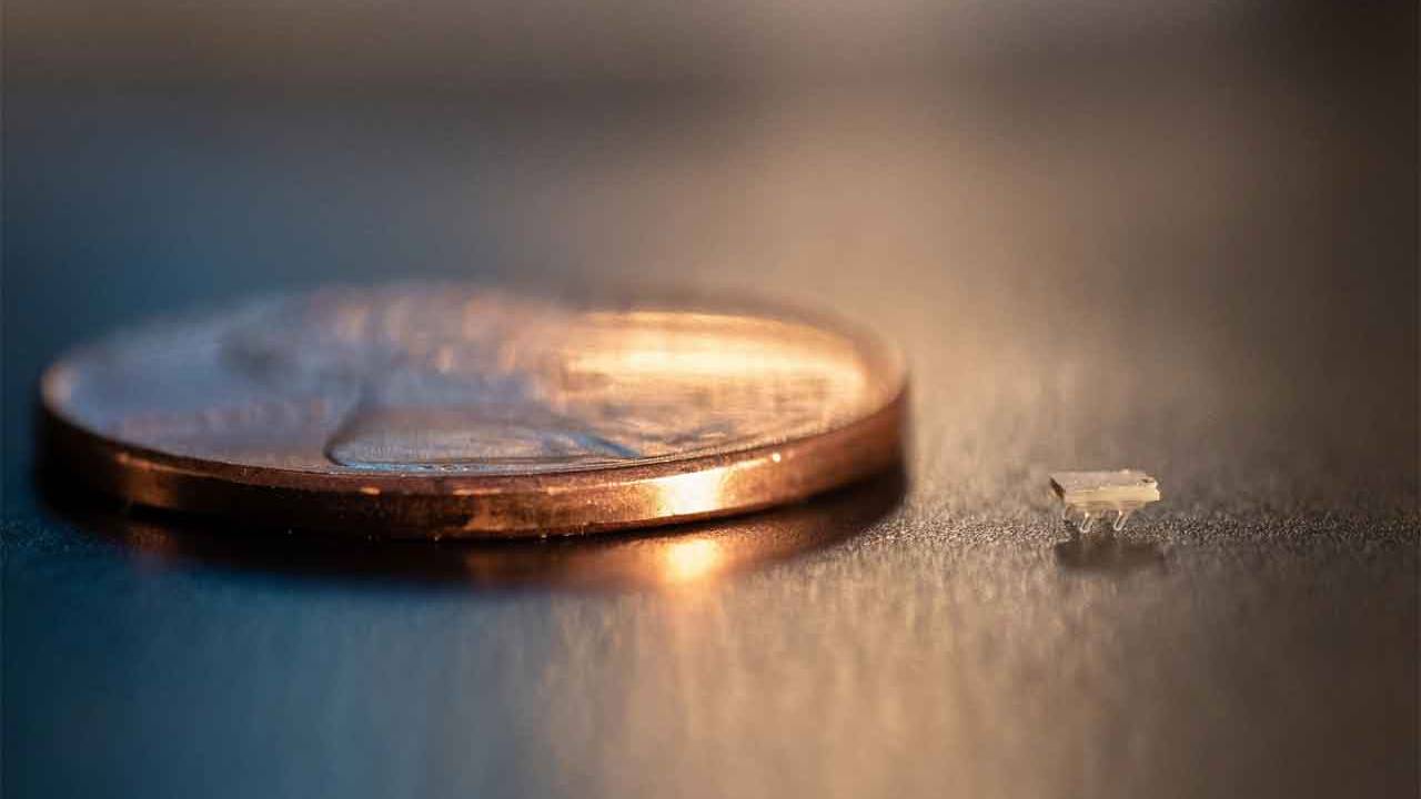 Tiny 3D printed robots are nearly invisible