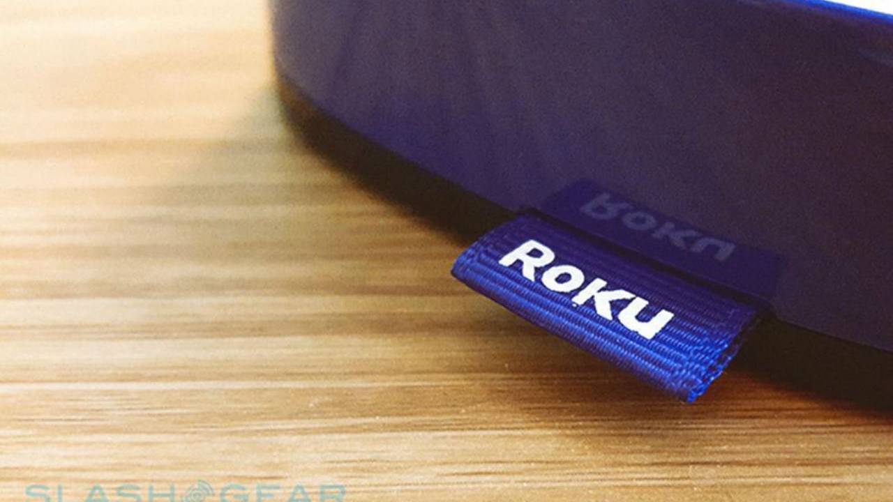 Roku dominates US streaming market, Sony takes second place