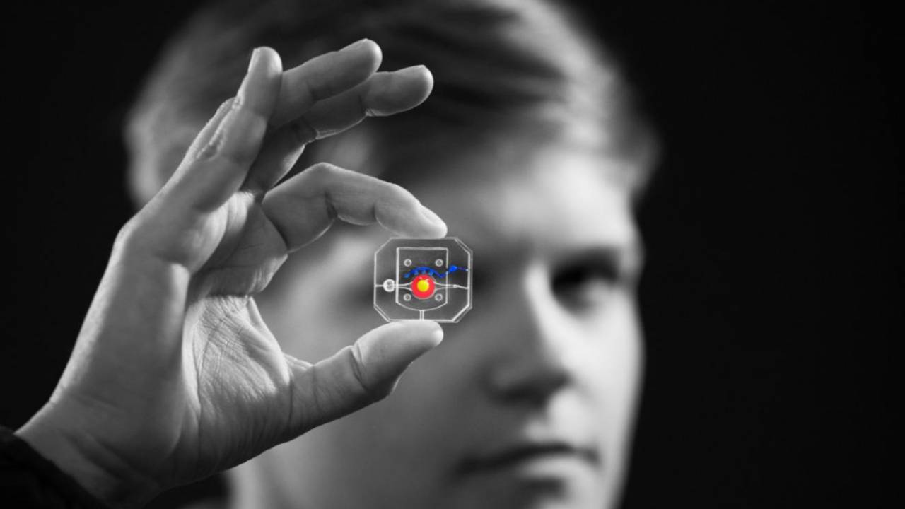 Engineers create blinking human ‘eye’ chip for drug testing
