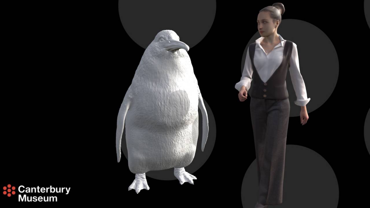 This human-sized “monster” penguin is massively adorable