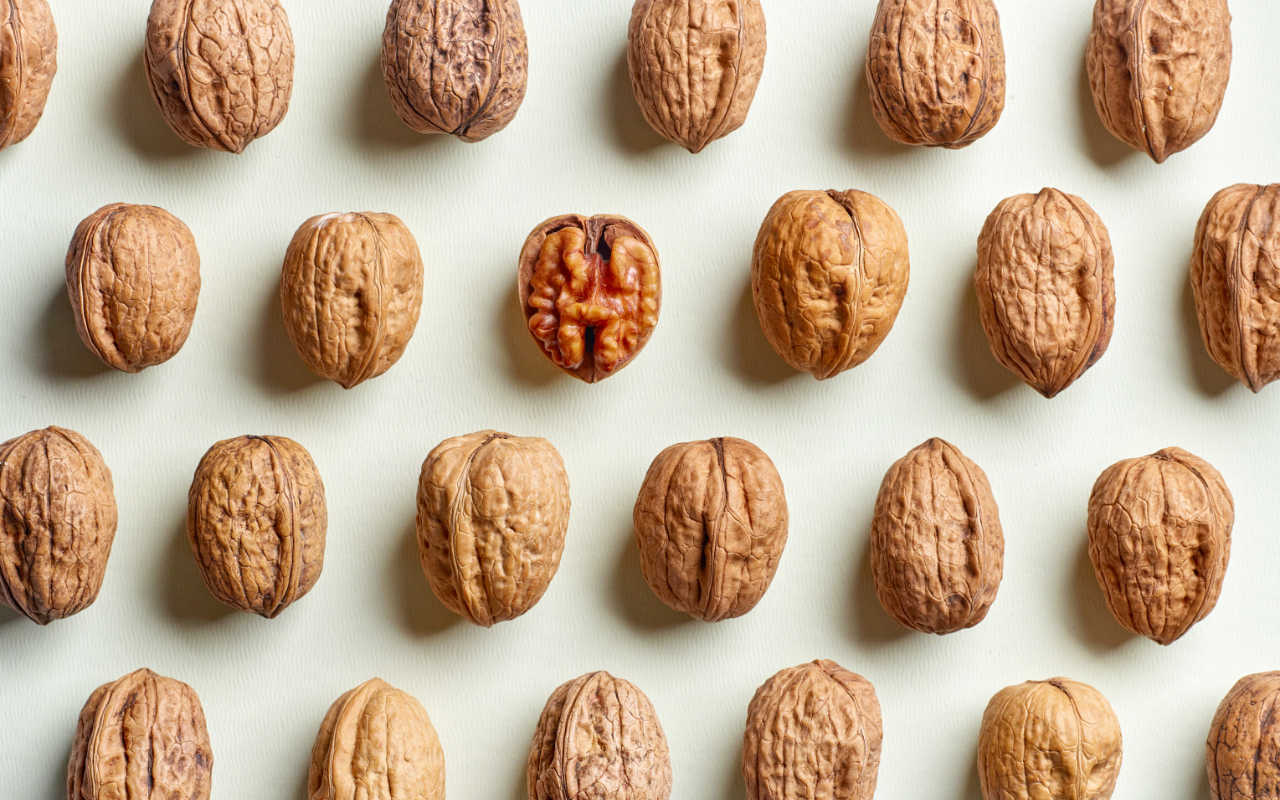 Walnut study hints at powerful protection against IBD 