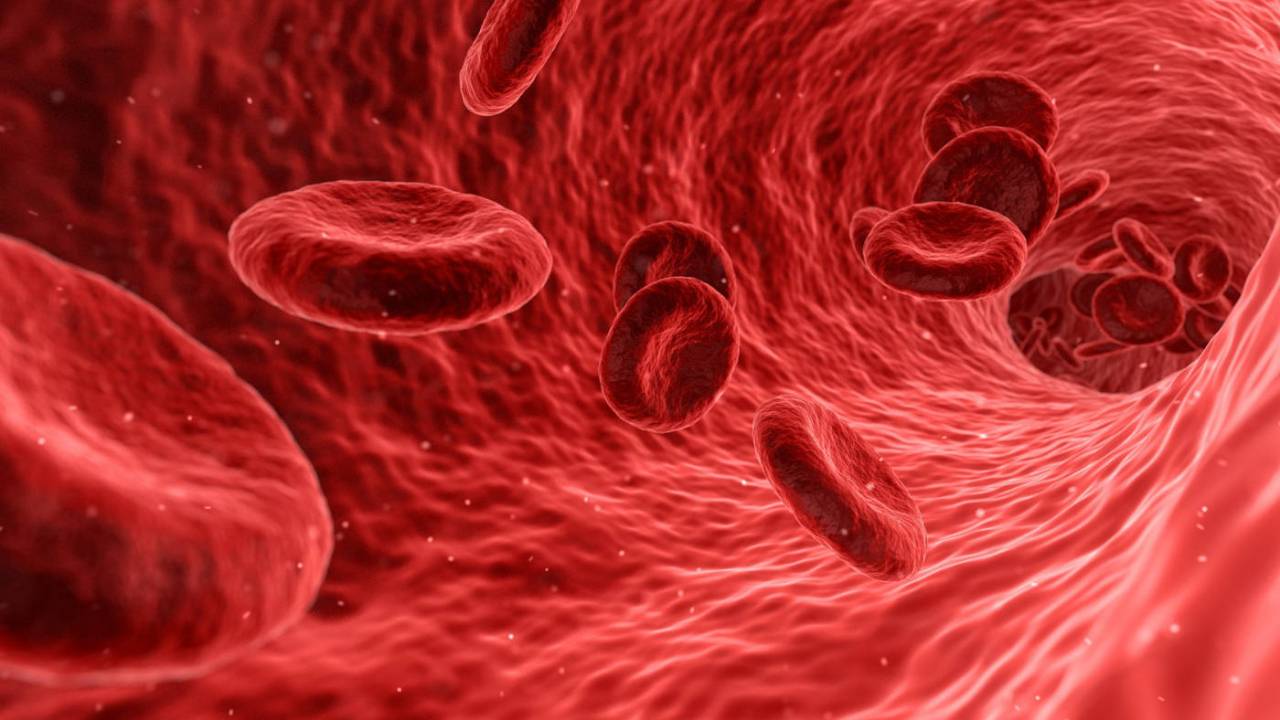 New Guidelines Warn Bad Cholesterol Levels Should Be As Low As Possible Slashgear