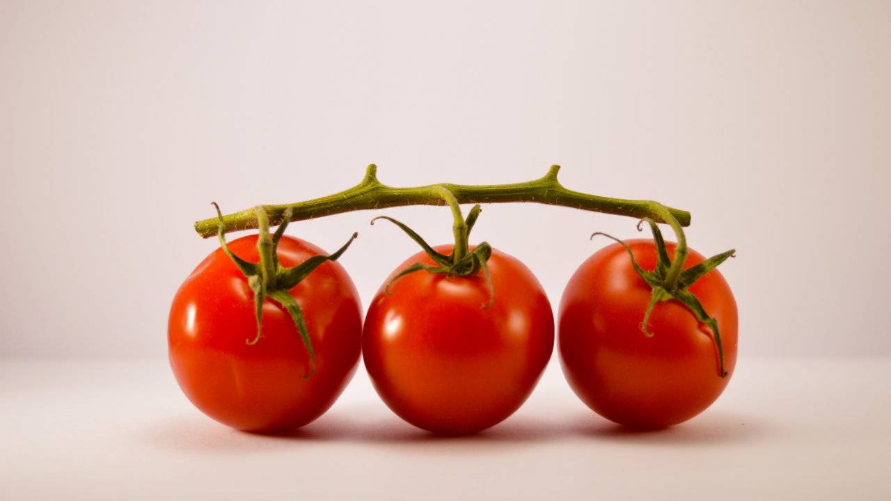Many common foods ruin the anticancer effect of tomatoes SlashGear