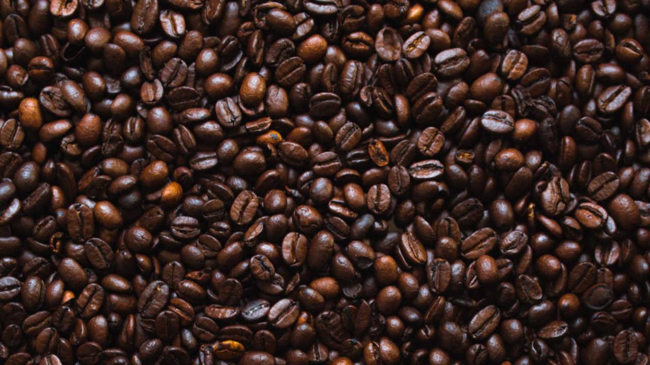 Two coffee compounds may prevent many obesity-related issues