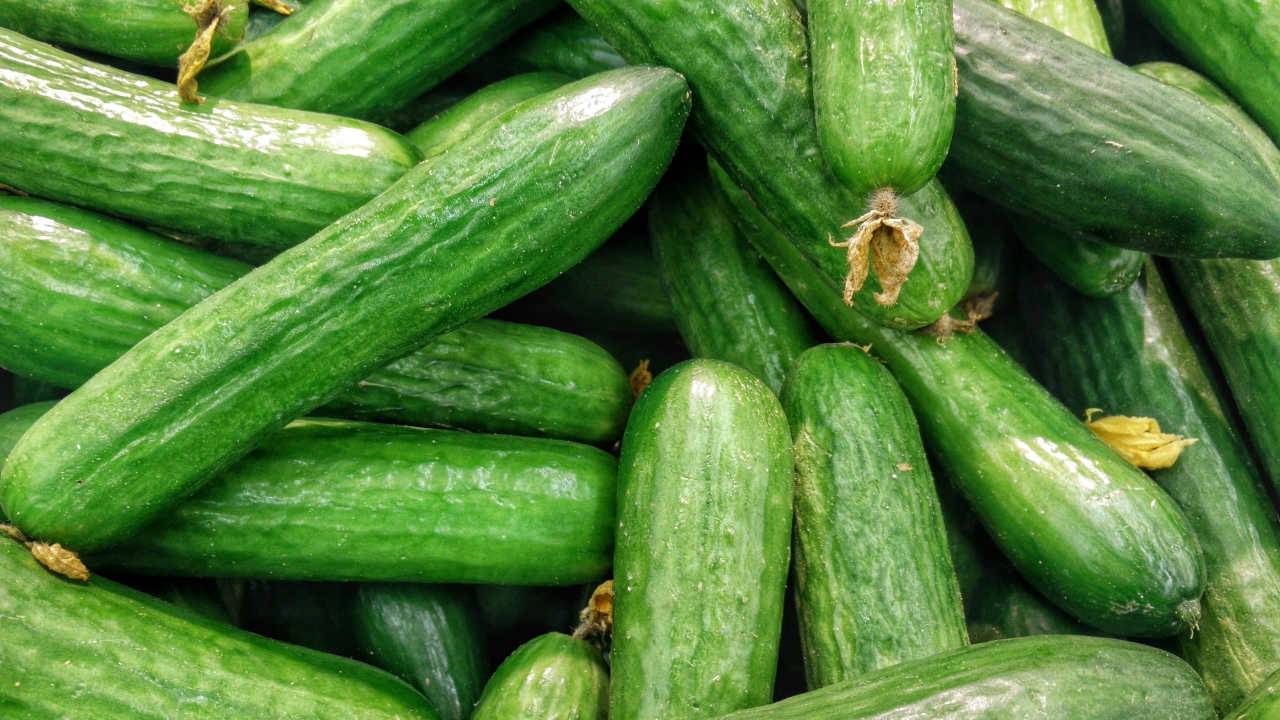 BioBag’s compostable biofilm uses corn starch to keep veggies fresh