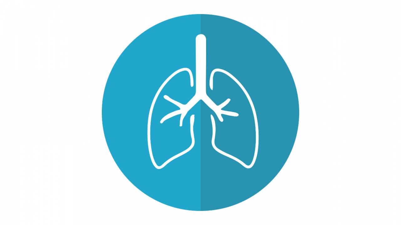CDC names vaping lung injury EVALI, offers precise case numbers - SlashGear