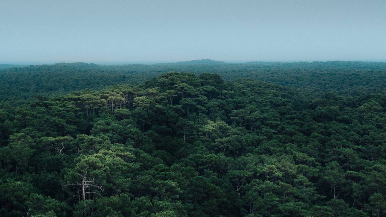 UN climate change report gives damning warning: We’re not doing enough