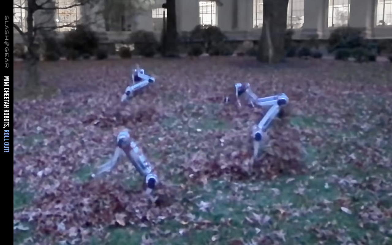 mit mini cheetah robot