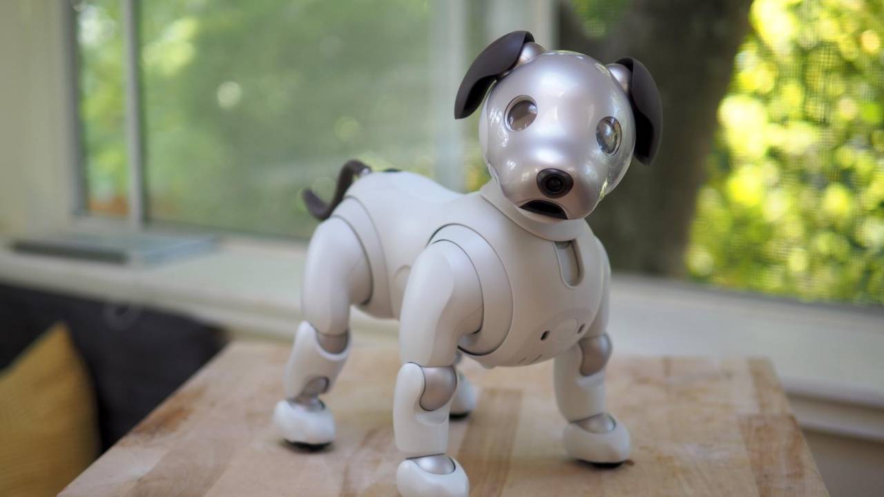 robot dog ai