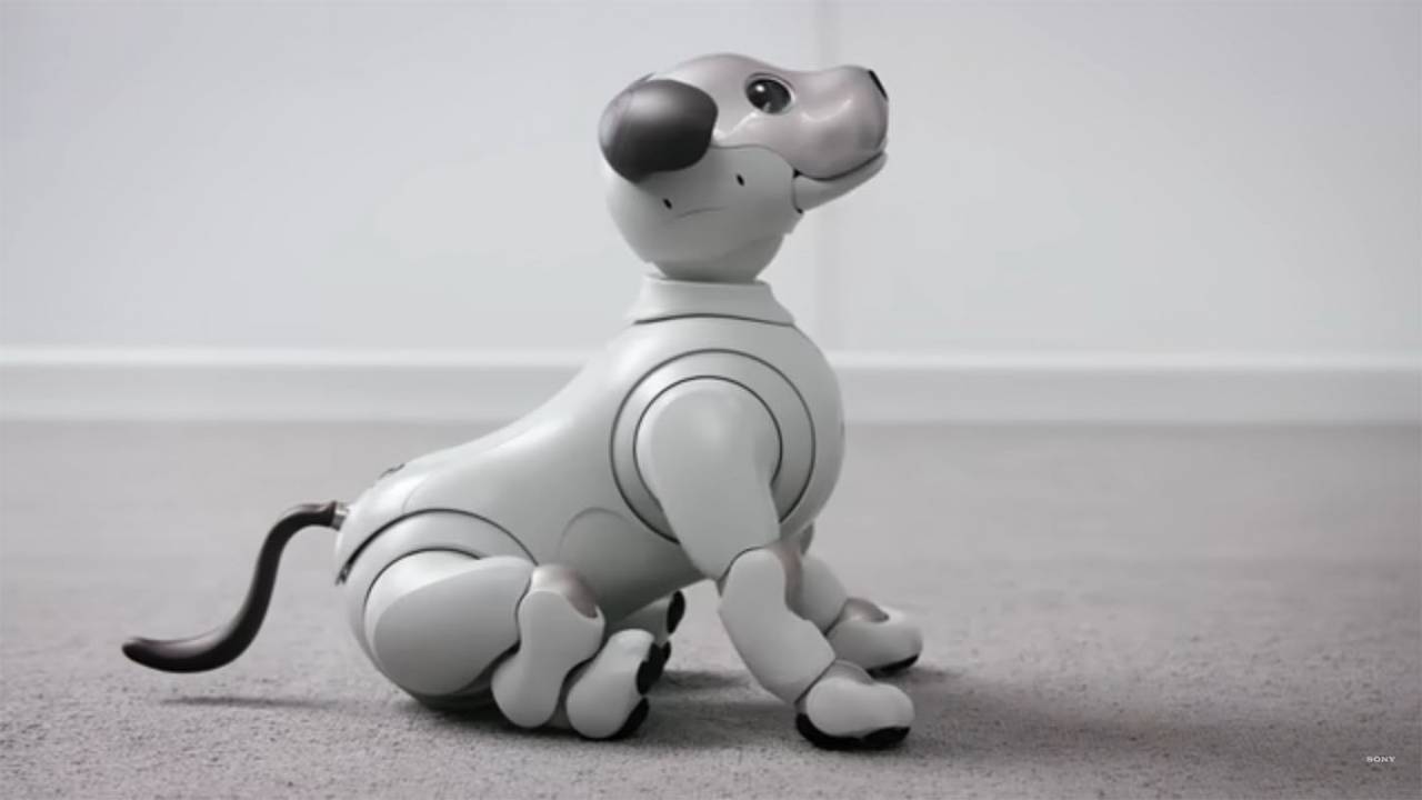 a robotic dog