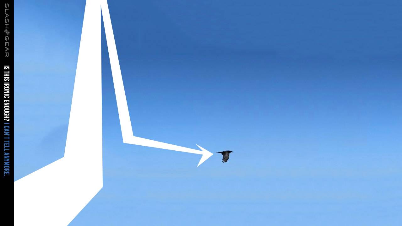 Twitter Bluesky is CEO’s vision for open, decentralized social media