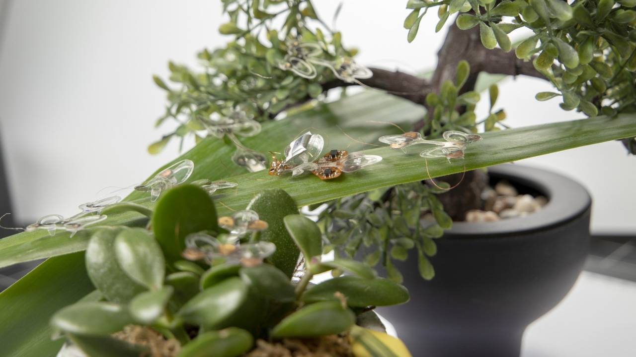 Tiny robot insects are soft enough to survive a fly swatter