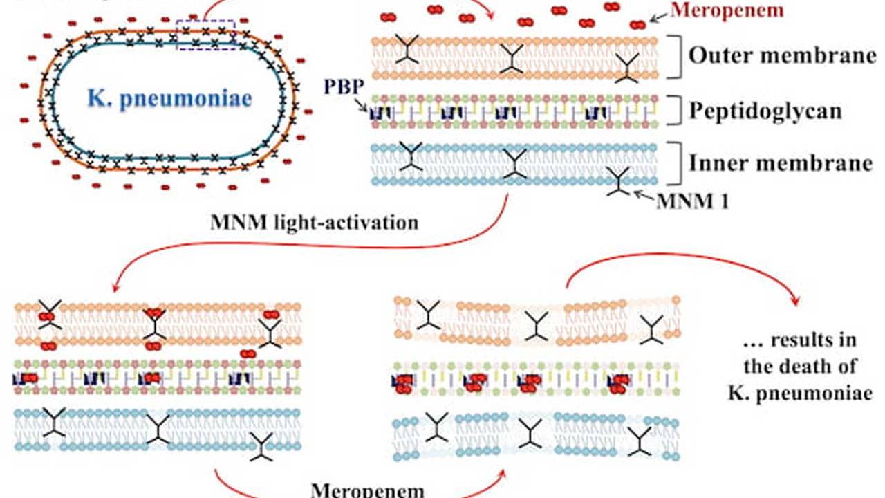 Researchers create molecular drills to destroy superbugs