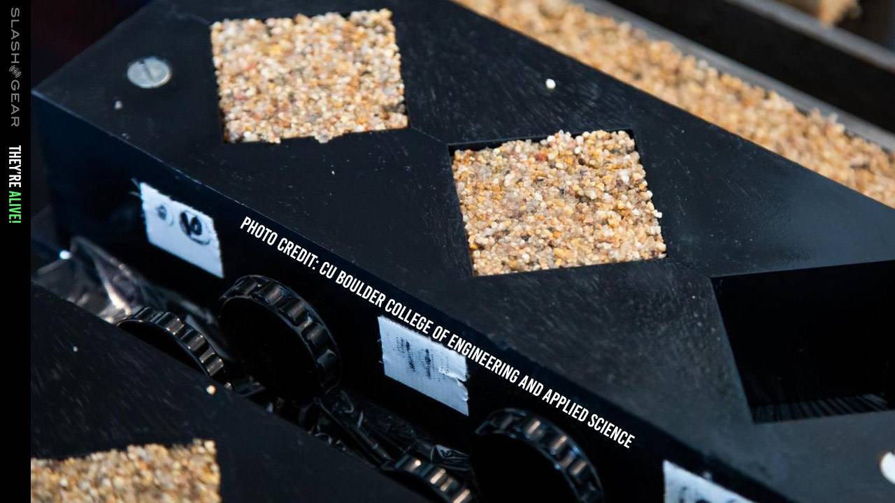 DARPA-backed living bricks could reproduce, self-heal, and slurp CO2