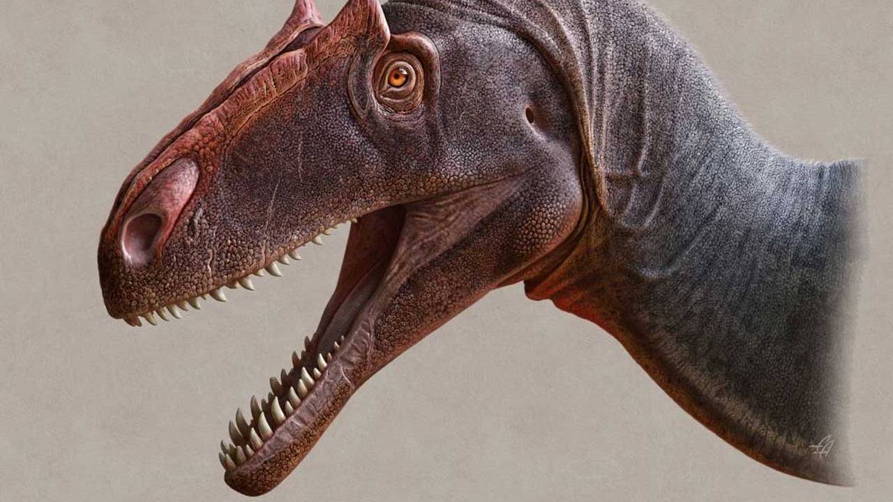 dinosaur with horns carnivore