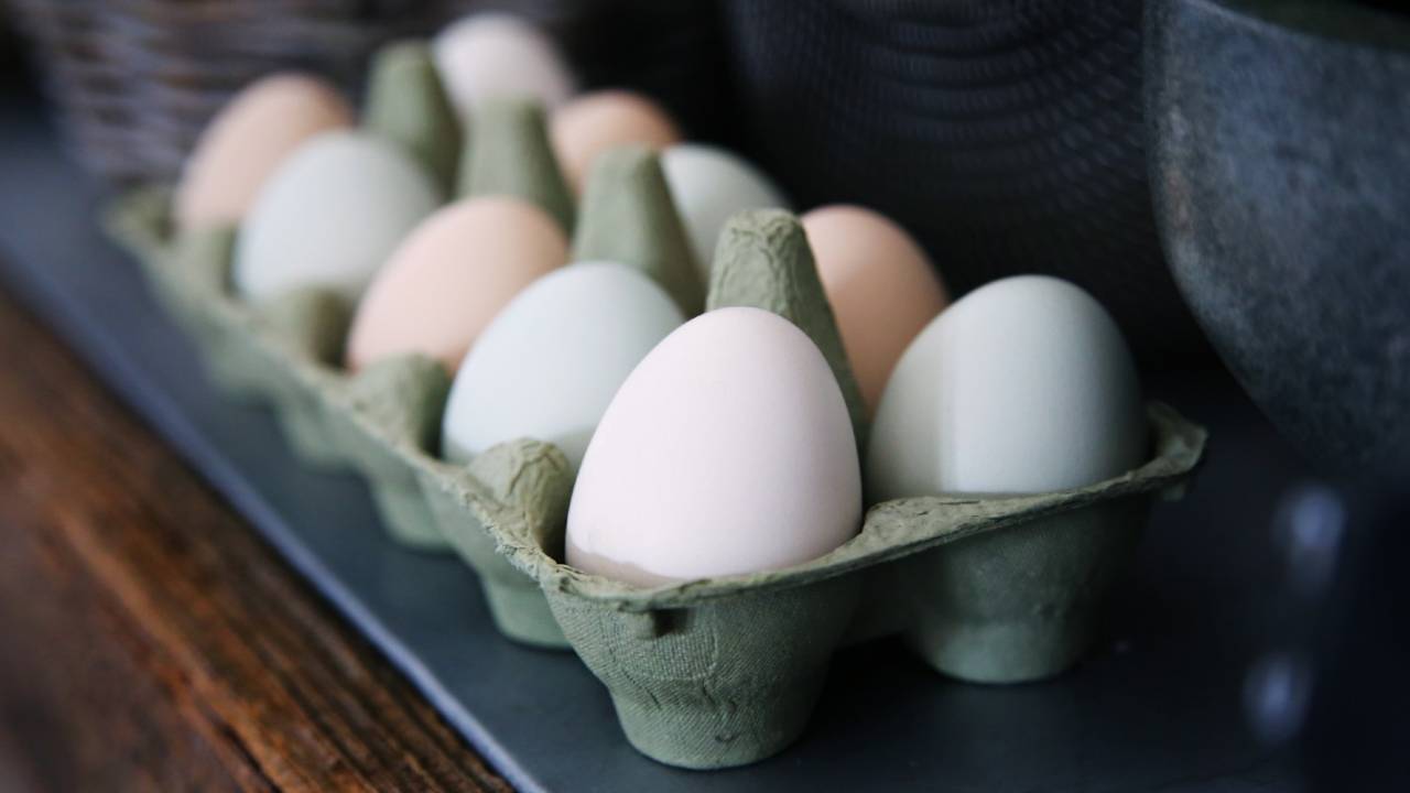 Another study finds eating several eggs a week isn't unhealthy SlashGear