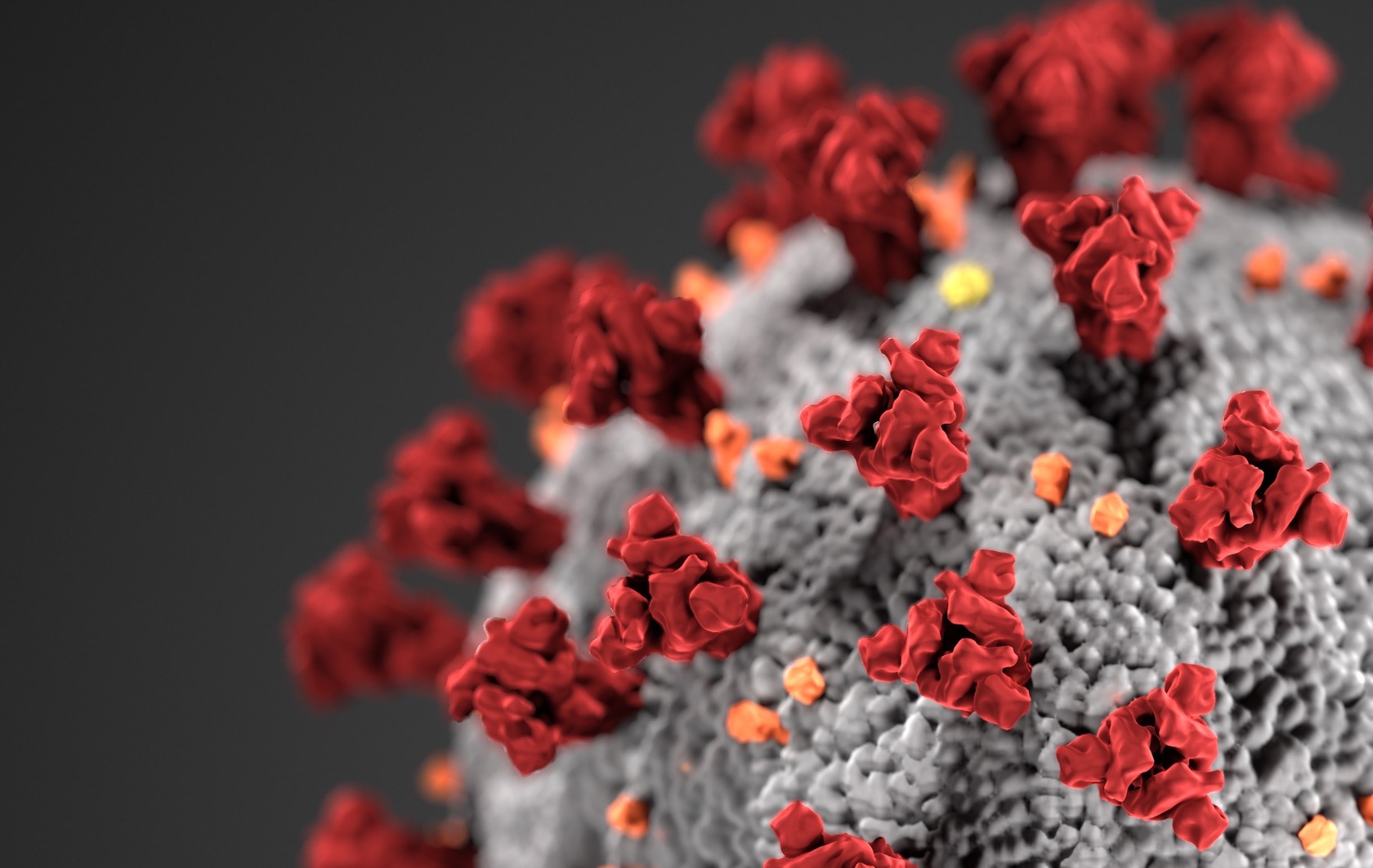  CDC Coronavirus community spread very possible even 