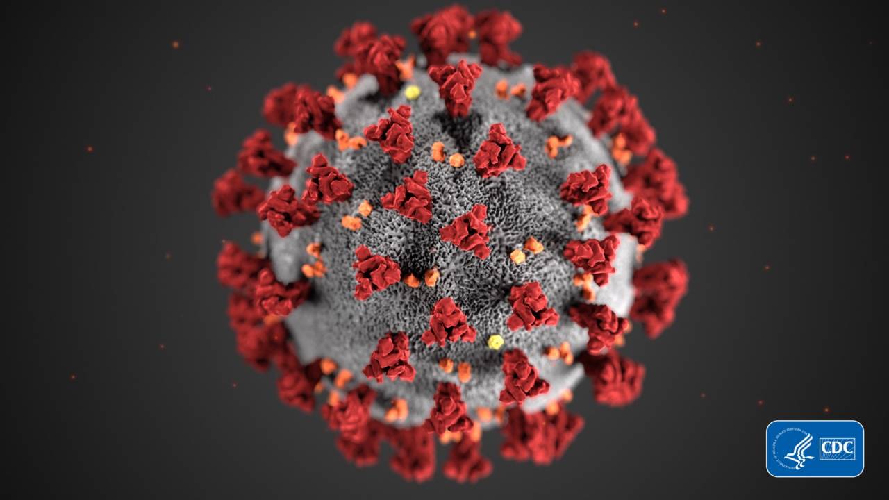 Coronavirus pandemic official: WHO chief criticizes “alarming levels of inaction”