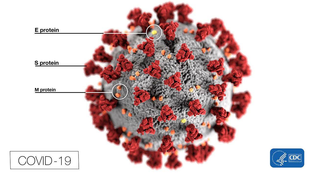 Coronavirus home-testing kits developed with funds from Bill Gates