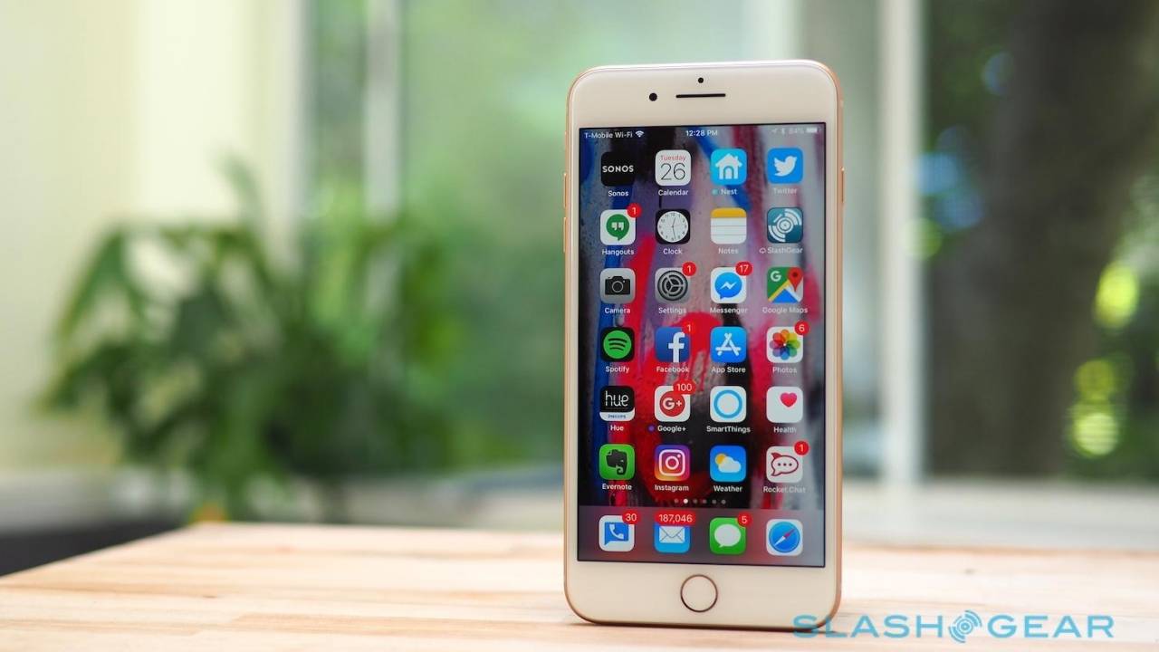 Ios 13 4 When Will Apple Release Ios 13 4 To The Public Amp Petmd Com