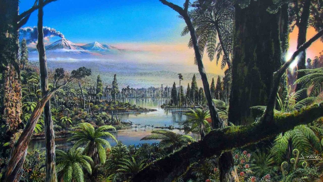 90m year old Antarctic rainforest raises huge climate change question