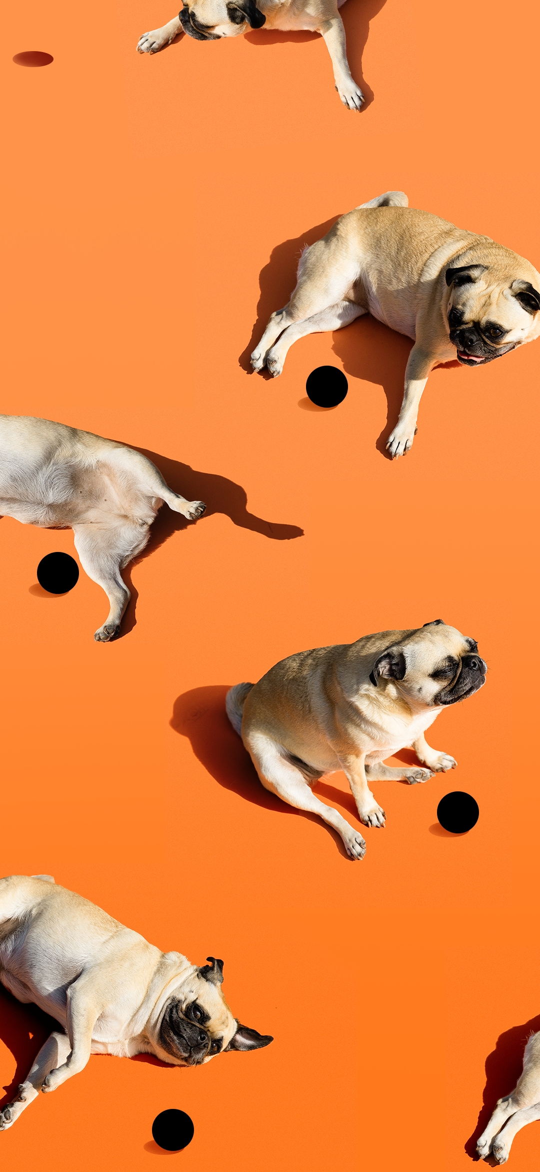 Google Pixel 4a Wallpapers Leak One Key Detail Slashgear