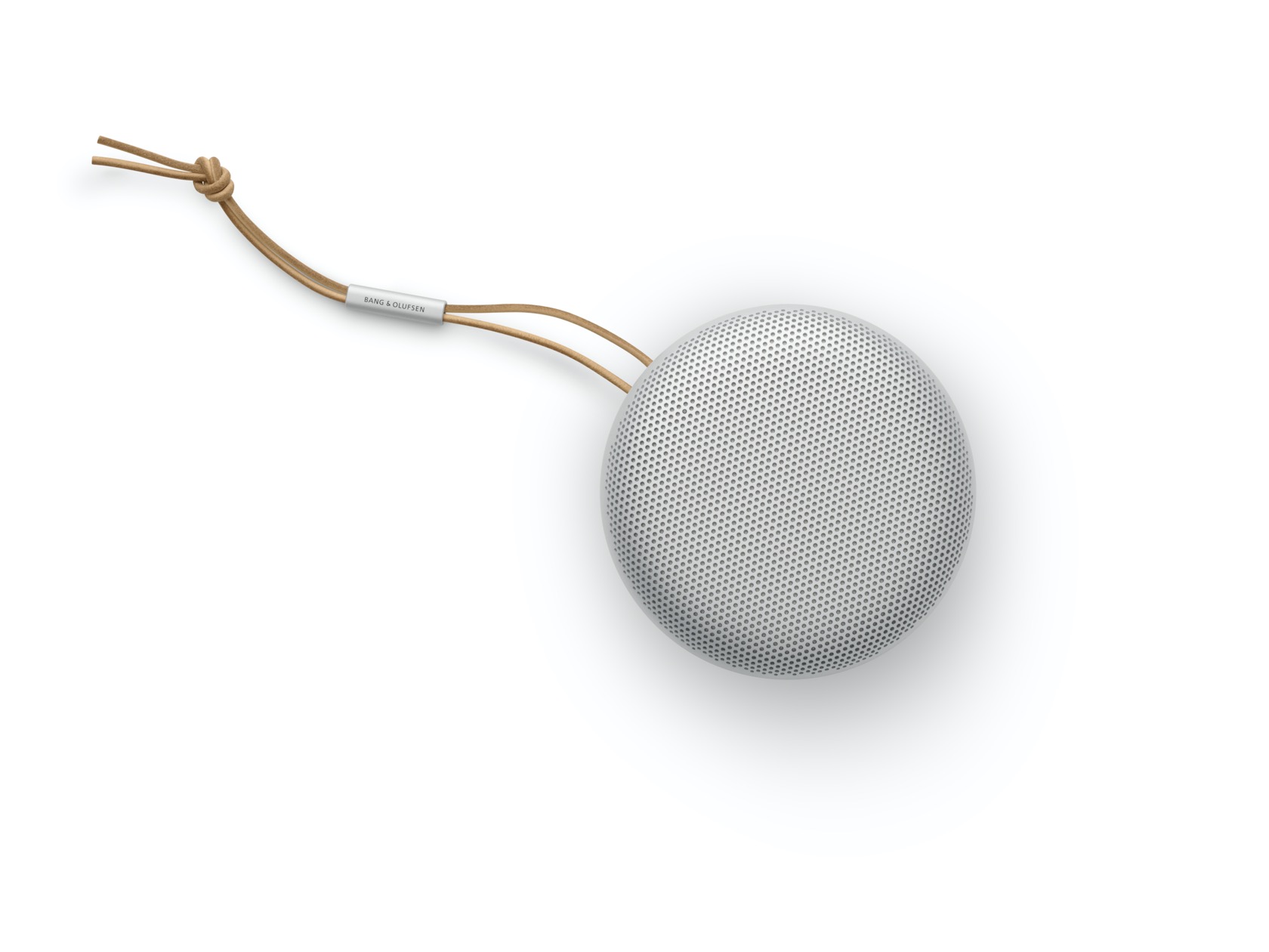 beoplay a1 alexa