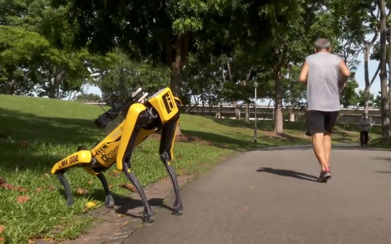 spot the dog robot
