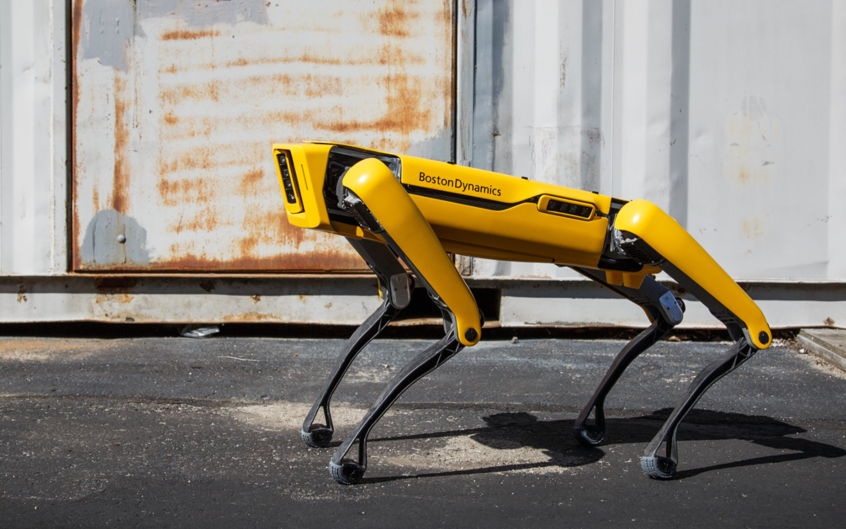 robot boston dynamics dog