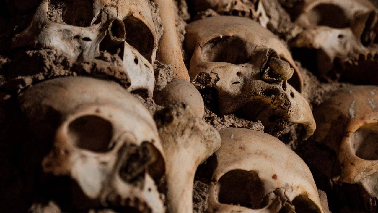Rare ancient skeleton discovery helps solve big food mystery
