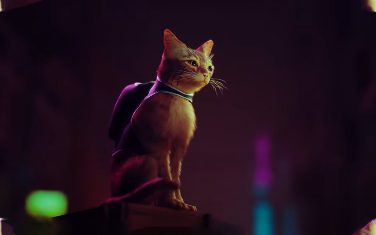 new ps5 cat game