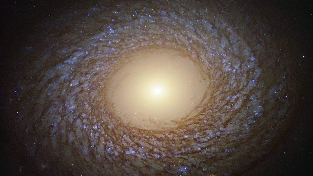Hubble captures striking spiral galaxy with a halo of hot young stars