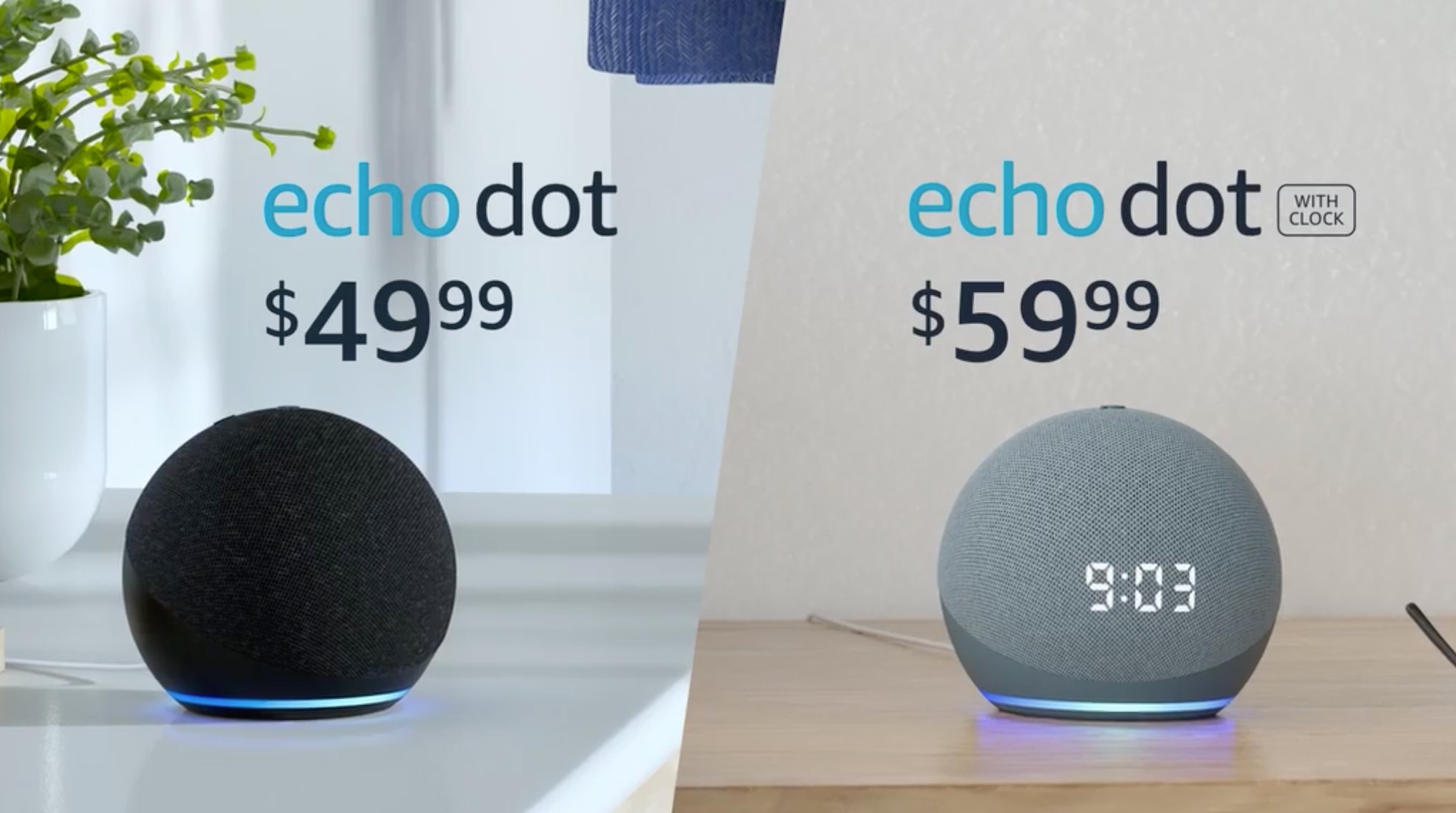 set up echo dot without app