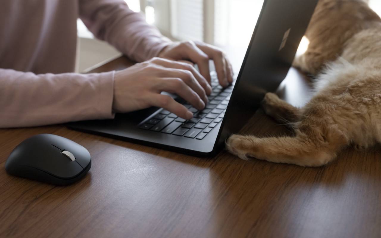 microsoft bluetooth ergonomic mouse