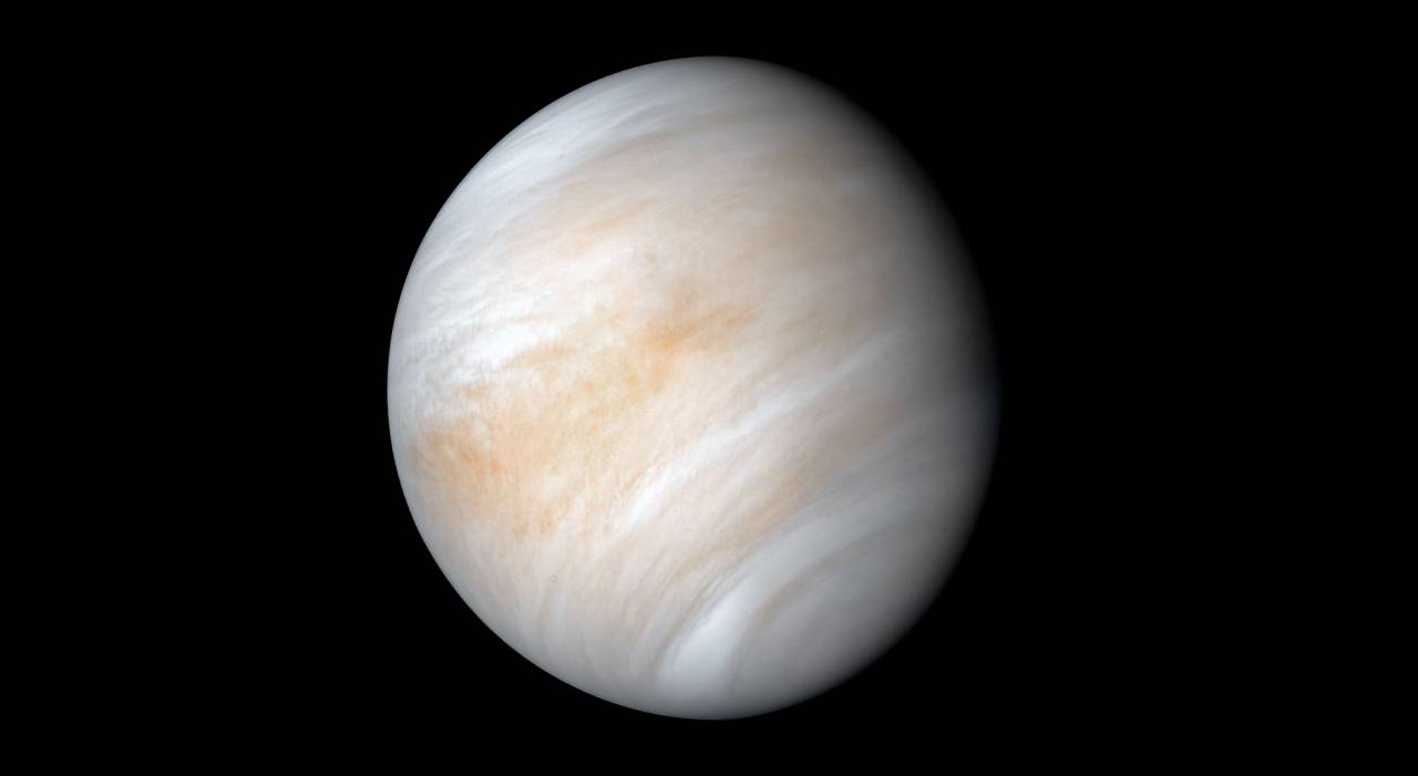 venus unveiled venus unveiled