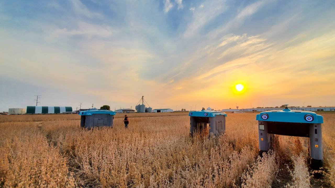 Mineral aims to significantly increase food production in the next 50 years
