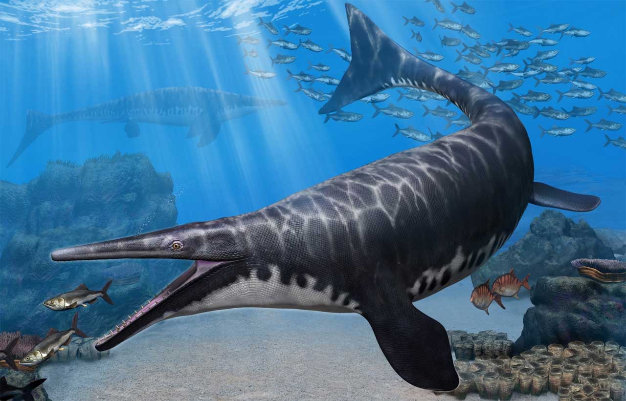 New species of mosasaur discovered in Morocco - SlashGear