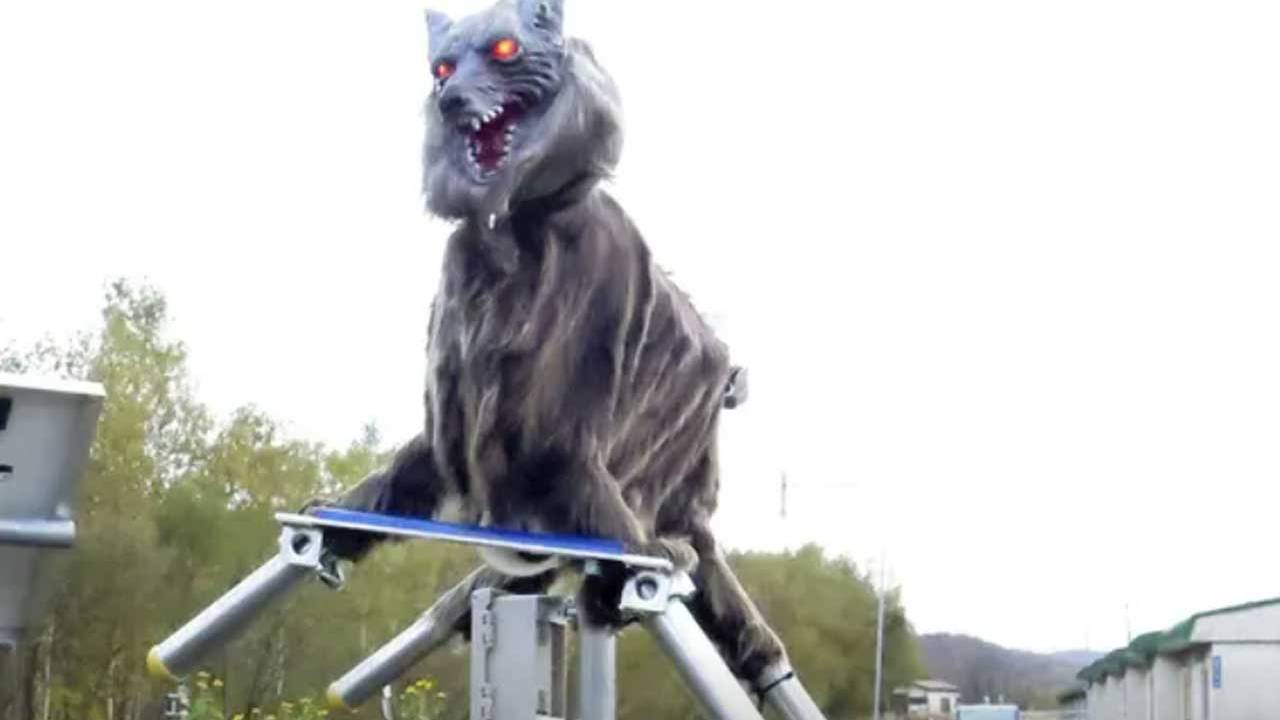 Rural Japanese town relies on robotic wolves to scare away bears