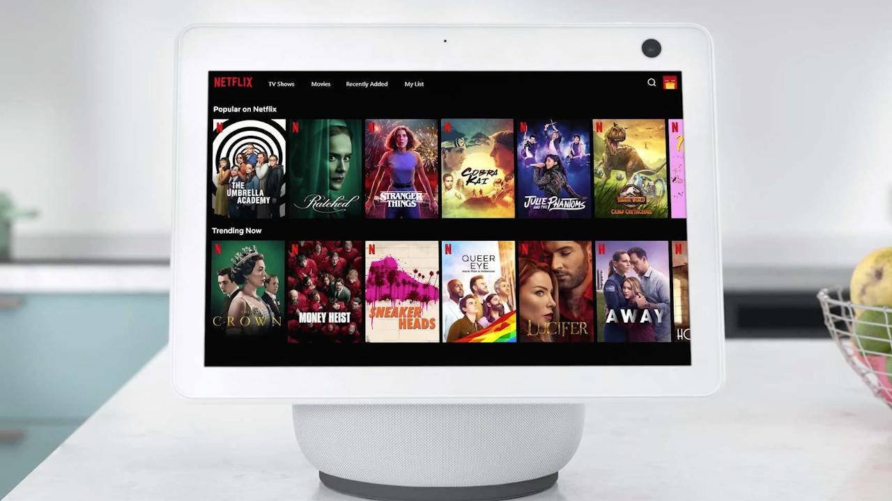 plex echo show plex echo show