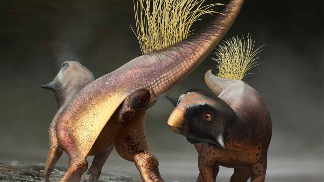 All-purpose dinosaur opening reconstructed by University of Bristol scientists