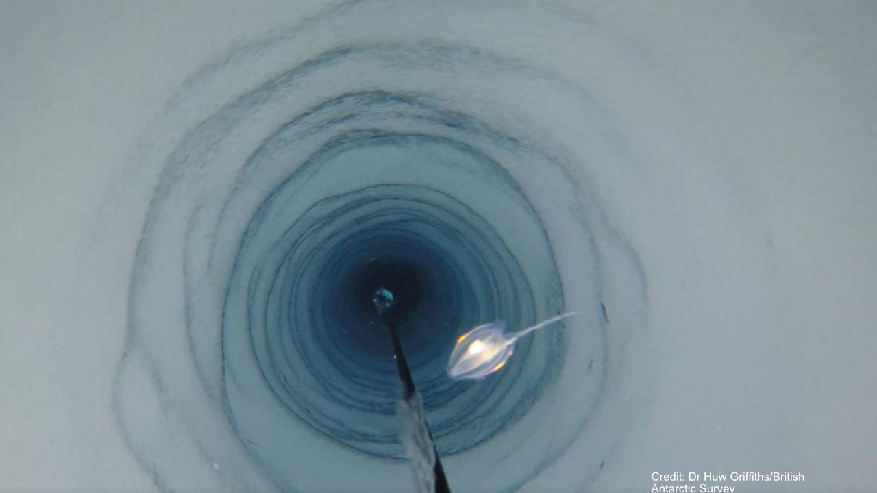 Half a mile beneath Antarctic ice, strange new life that scientists can’t explain