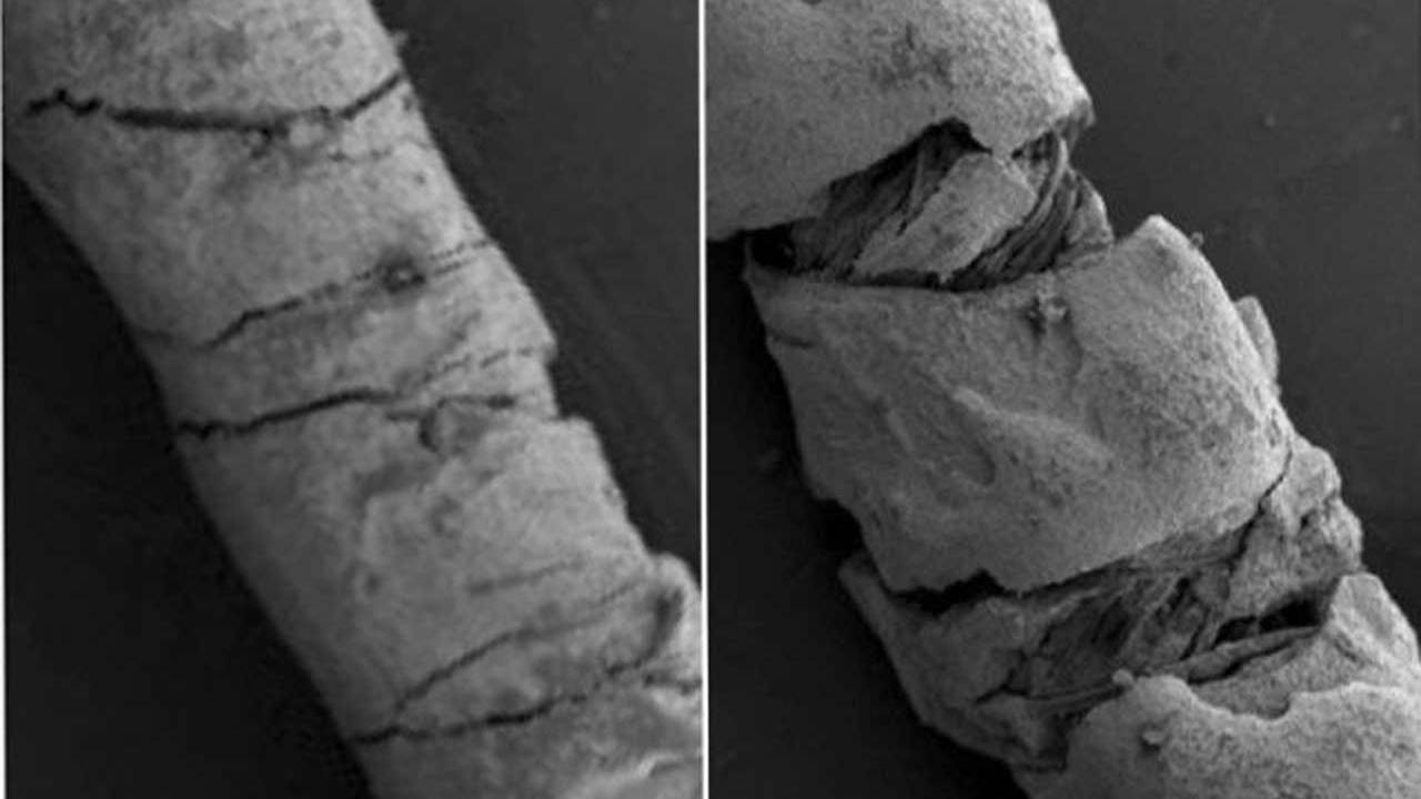 High-tech threads sense how and when the wearer moves