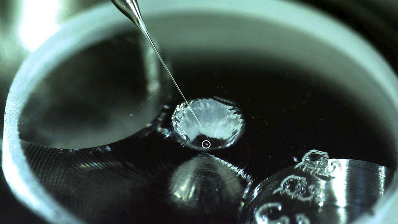 Organic material required to support life found on an asteroid’s surface