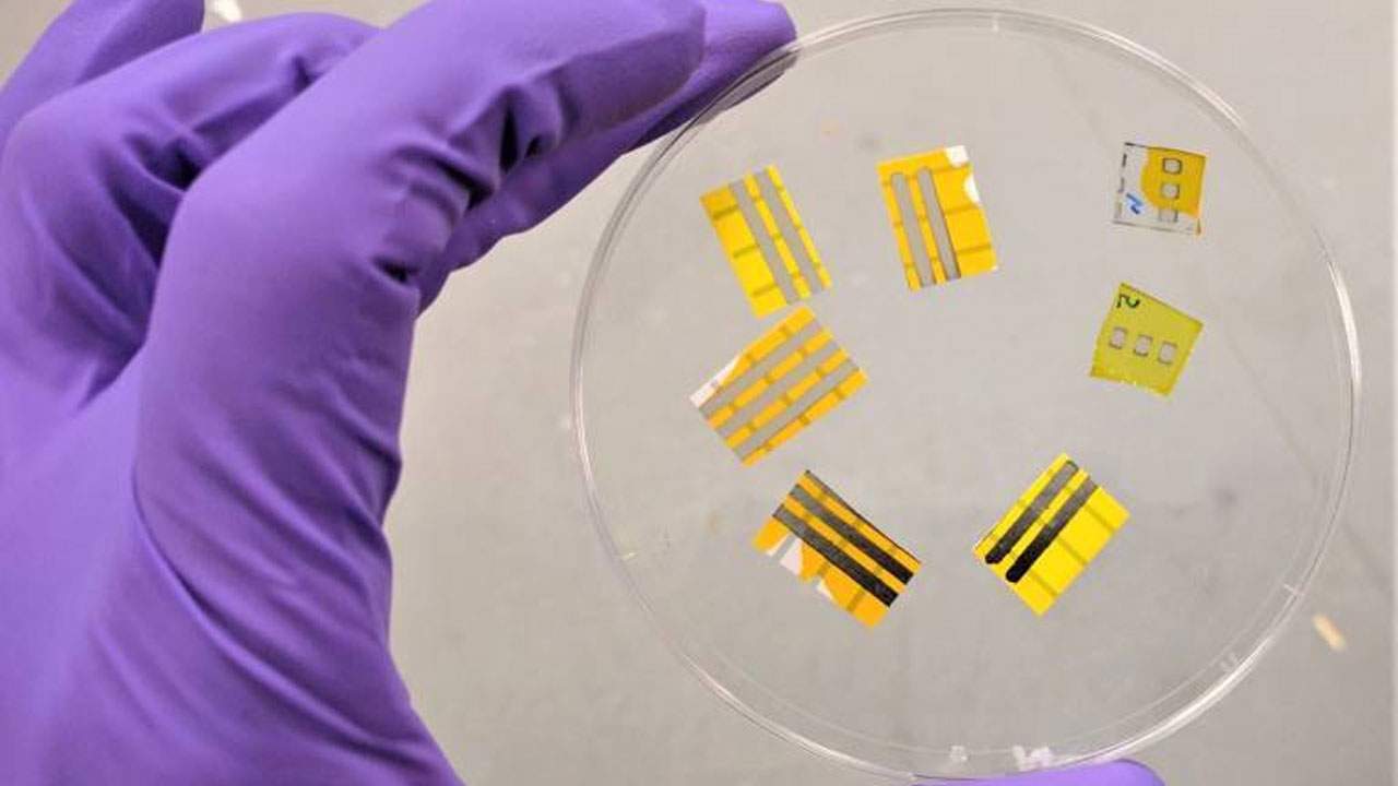 Scientists develop light-emitting tattoo with multiple potential uses